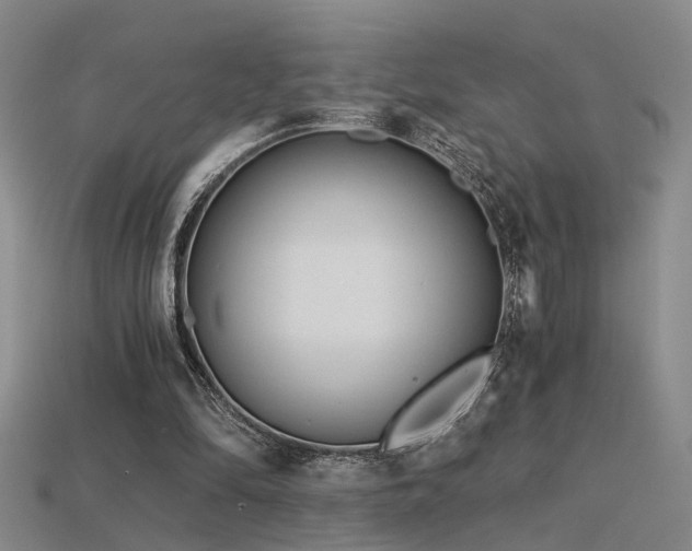 X0000115820294200911131450