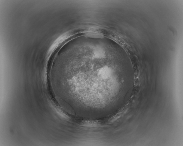 X0000115820296200911131450