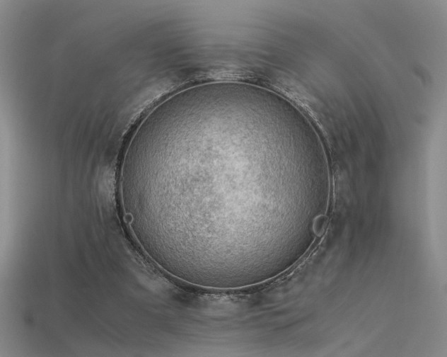 X0000115820297200911131450