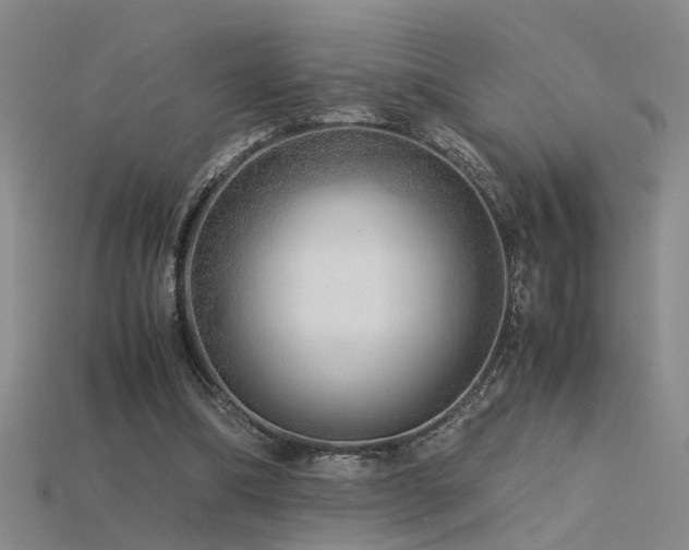 X0000115820298200911131450