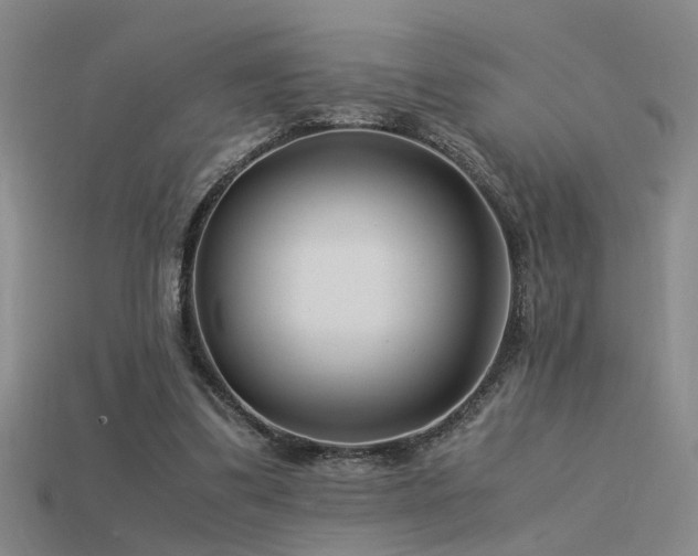 X0000115820299200911131450