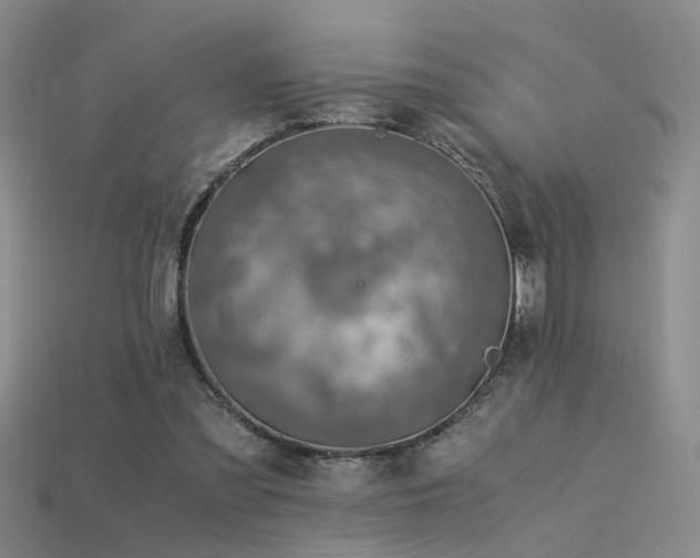 X0000115820301200911131450