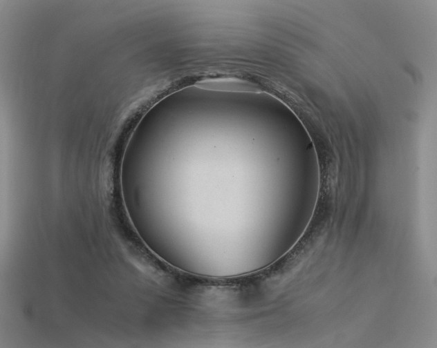 X0000115820303200911131450