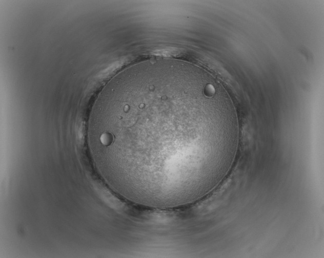 X0000115820305200911131450