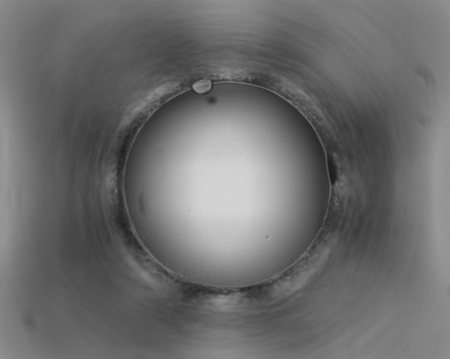 X0000115820306200911131450