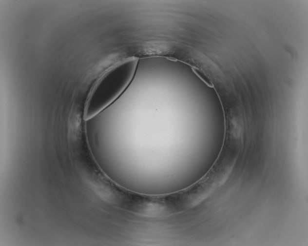 X0000115820308200911131450