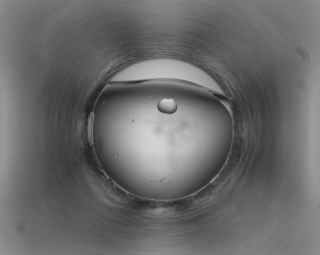 X0000115820312200911131450