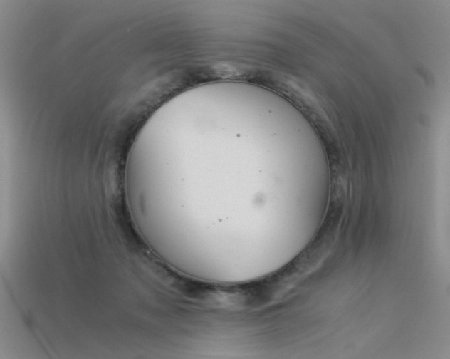 X0000115820317200911131449