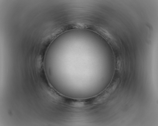 X0000115820318200911131449