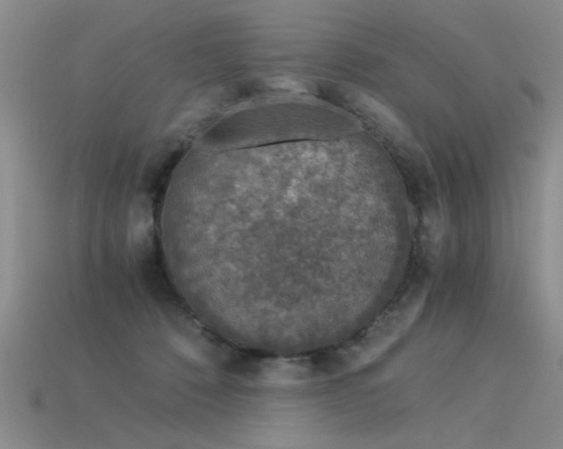 X0000115820320200911131449