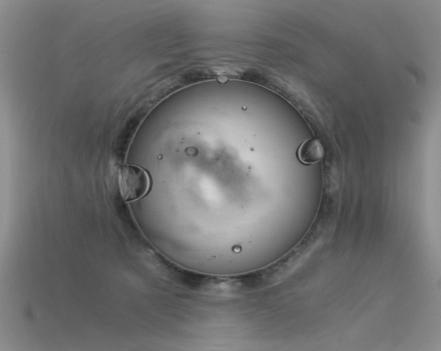 X0000115820321200911131449