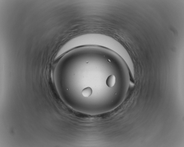 X0000115820323200911131449