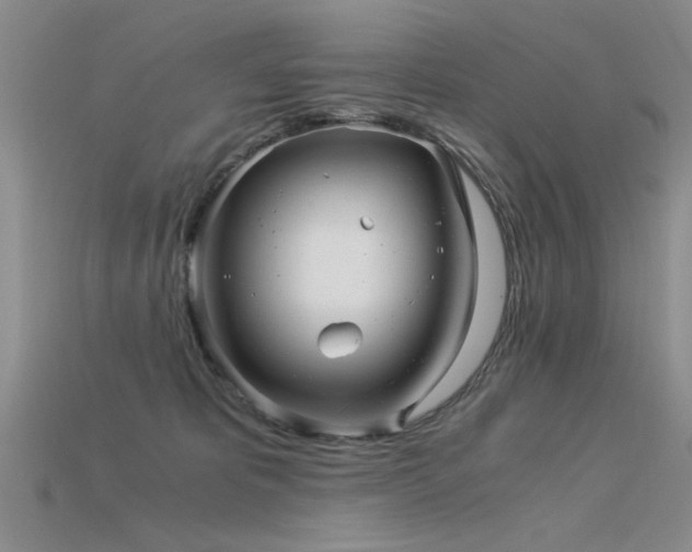 X0000115820325200911131449