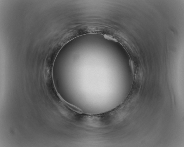 X0000115820327200911131449