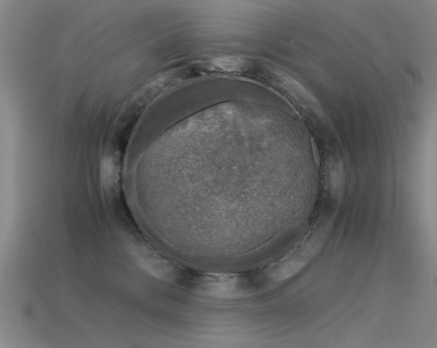 X0000115820328200911131449