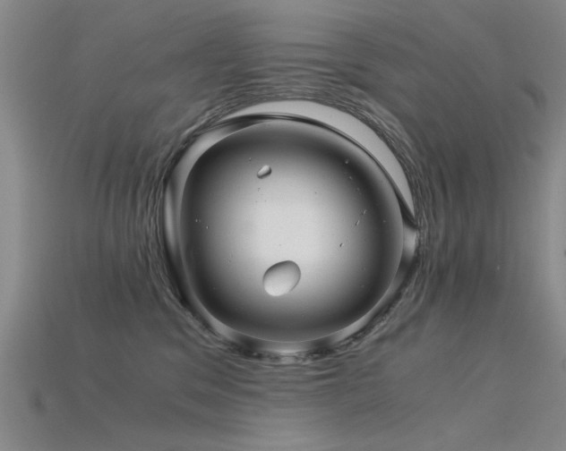 X0000115820329200911131449