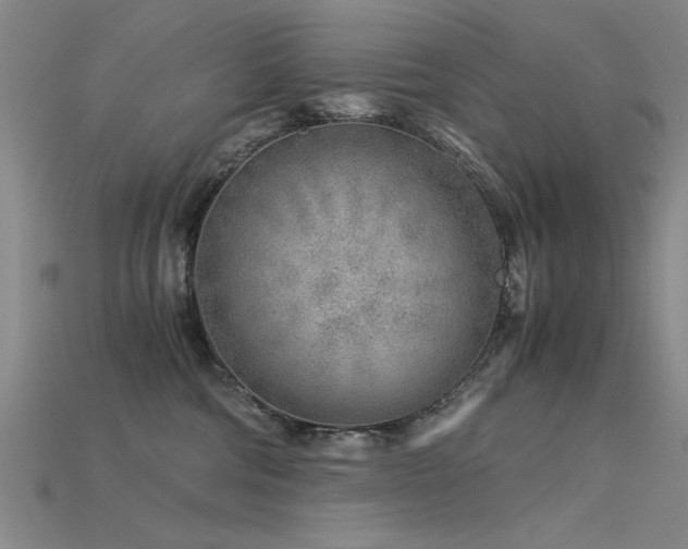 X0000115820330200911131449