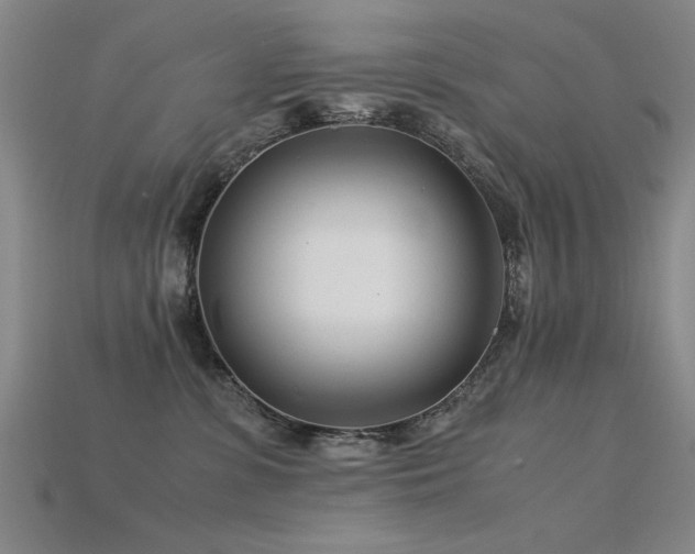 X0000115820331200911131449