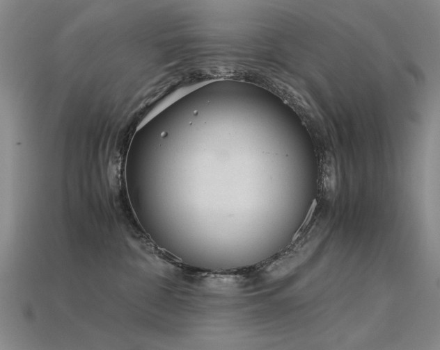 X0000115820332200911131449