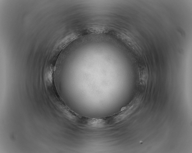 X0000115820334200911131449