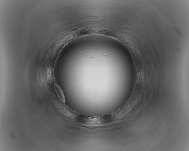 X0000115820335200911131449