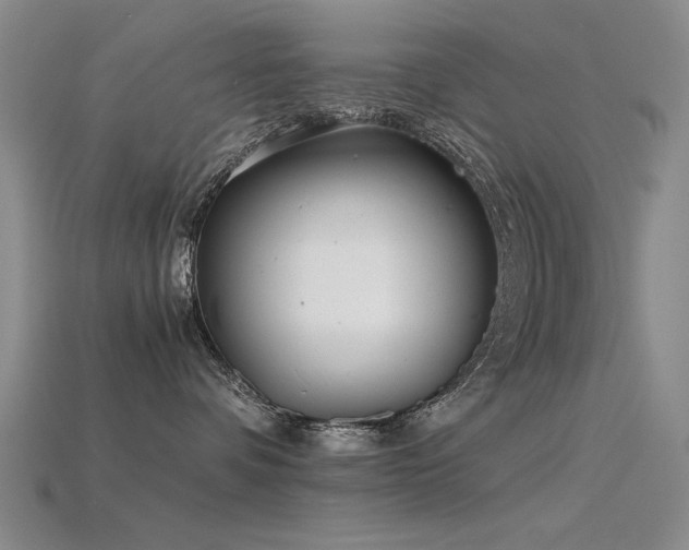 X0000115820336200911131449