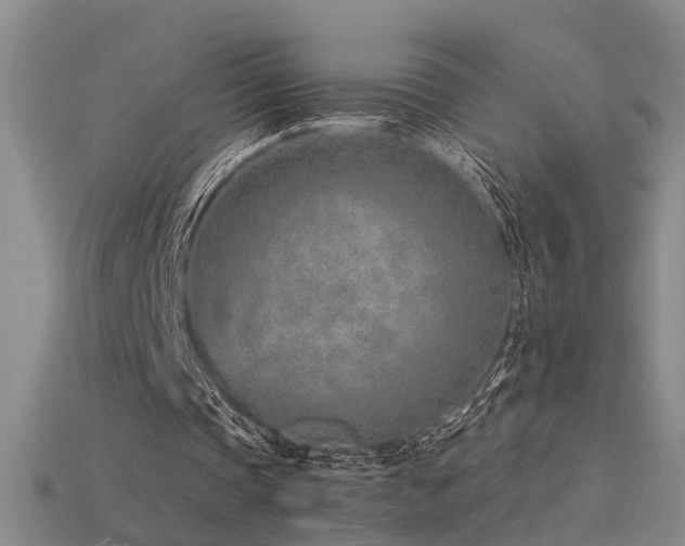 X0000115820337200911131449