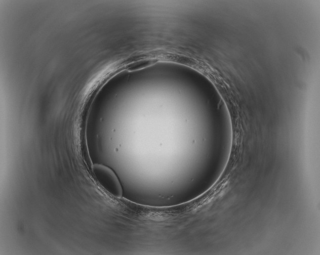 X0000115820341200911131449