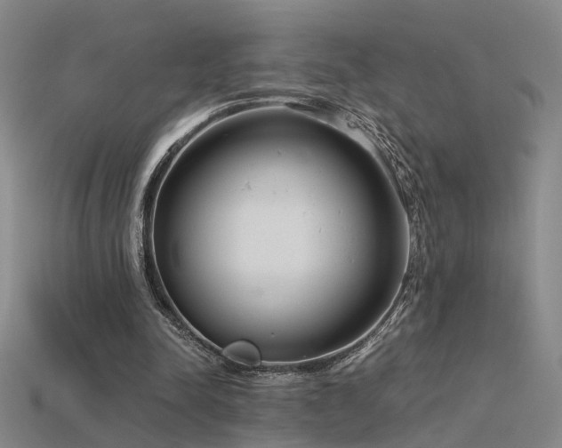 X0000115820342200911131449