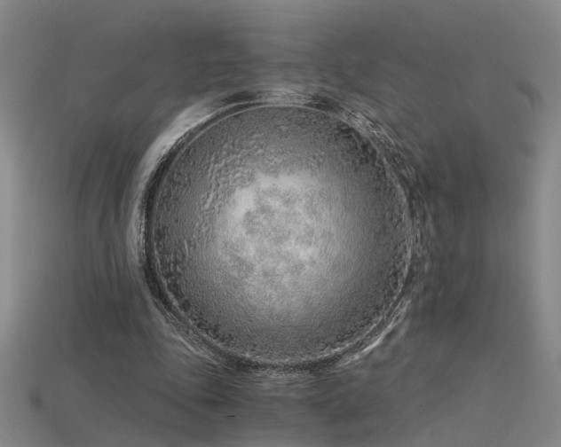 X0000115820343200911131449