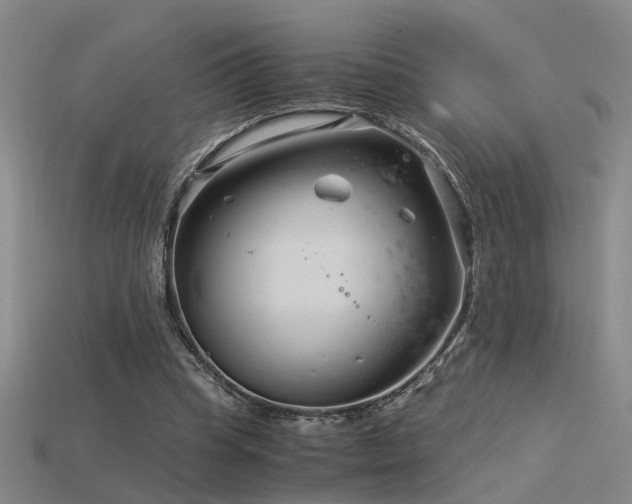 X0000115820345200911131449