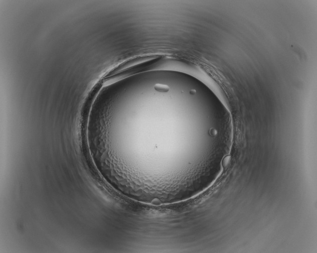 X0000115820346200911131449