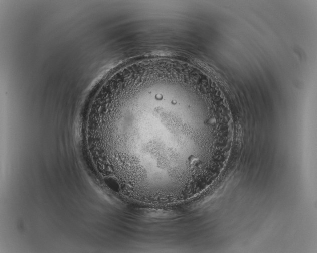 X0000115820347200911131449