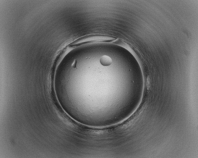 X0000115820349200911131449