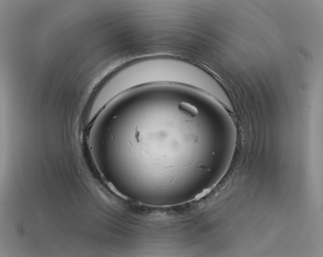 X0000115820350200911131449