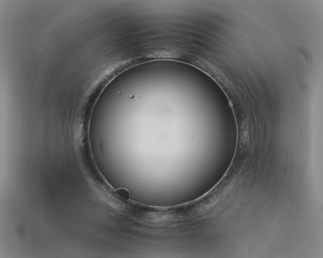 X0000115820351200911131449