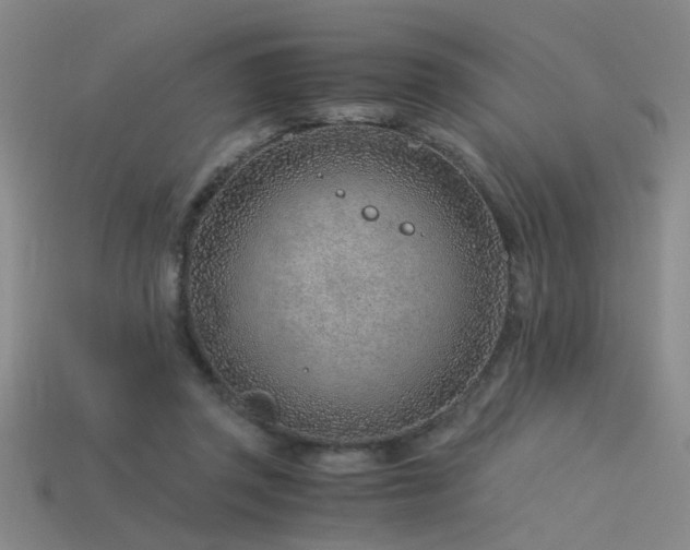 X0000115820357200911131449