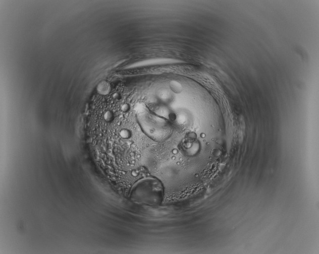 X0000115820359200911131449