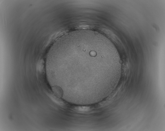 X0000115820361200911131449