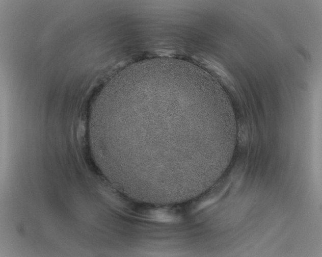 X0000115820365200911131449