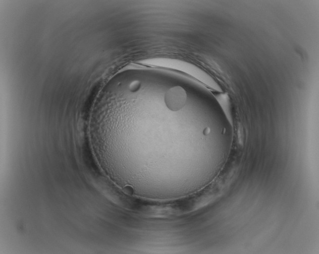 X0000115820366200911131449