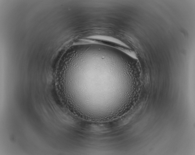 X0000115820367200911131449