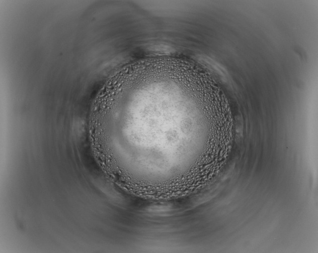 X0000115820369200911131449