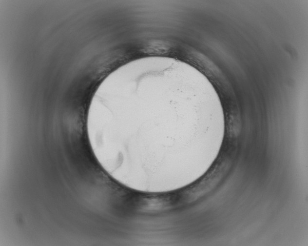 X0000115820370200911131449