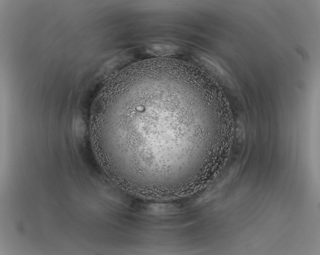 X0000115820371200911131449