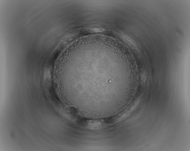 X0000115820373200911131449