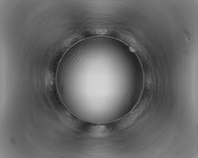 X0000115820374200911131449