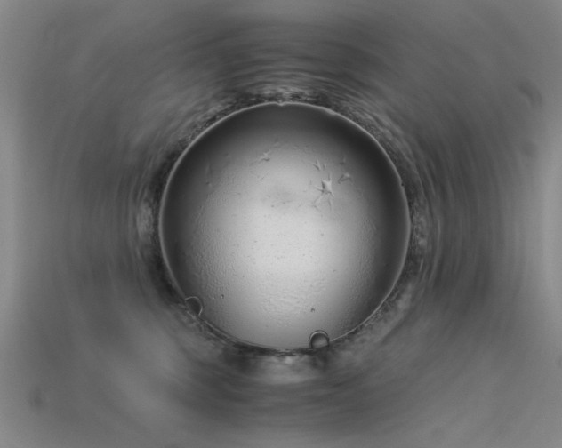 X0000115820375200911131449