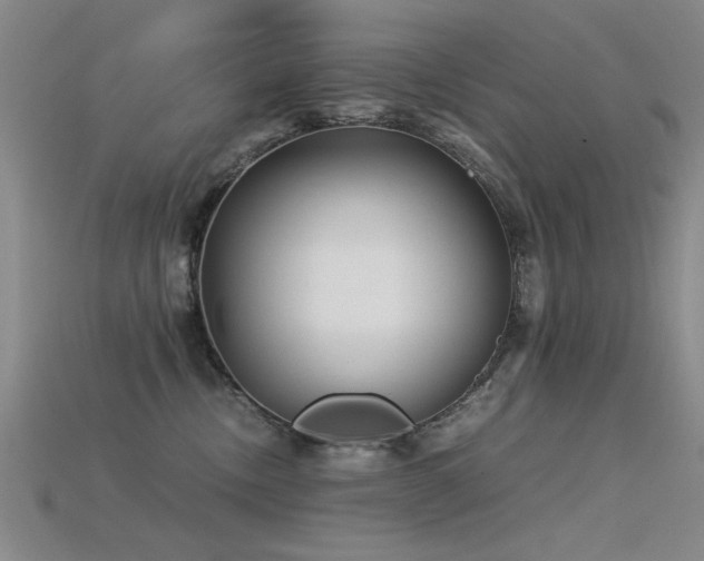 X0000115820378200911131449