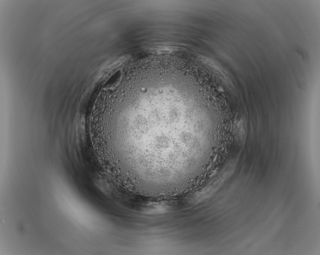 X0000115820381200911131449